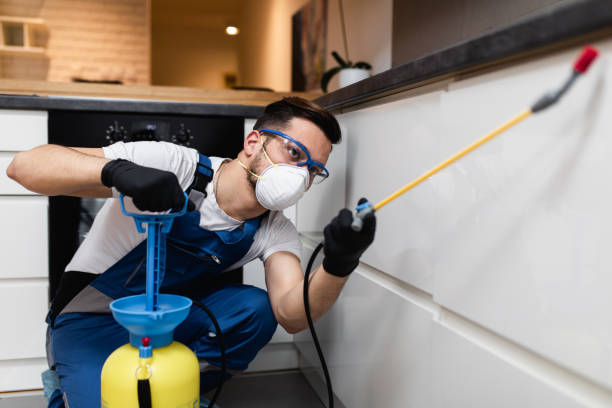 Best Pest Control Near Me in Monett, MO