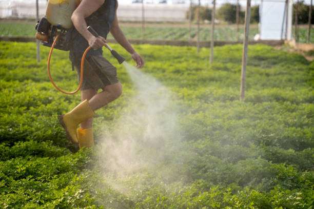 Best Affordable Pest Control Services  in Nett, MO