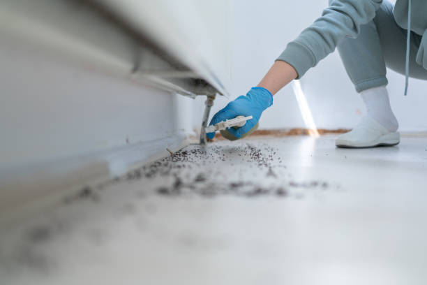 Best Wildlife Control Services  in Nett, MO