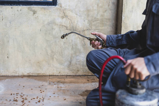 Best Affordable Pest Control Services  in Nett, MO