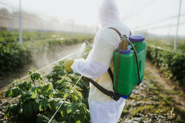 Best Ant Control Services  in Nett, MO